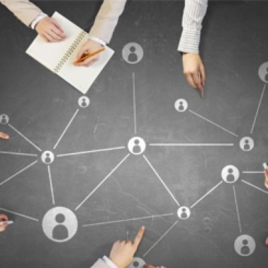 Organizasyon Şeması