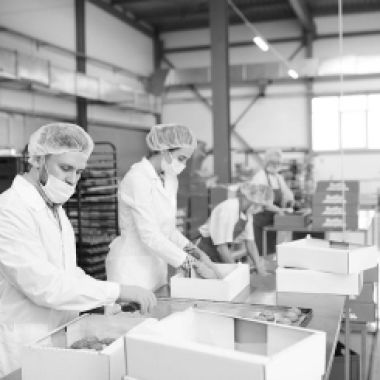 Gıda Ürünleri İmalatı